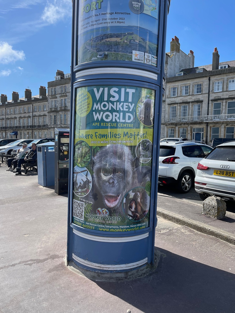  Monkey World Pvc Poster